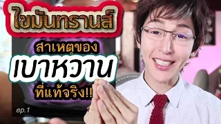 สาเหตุที่แท้จริงของโรคเบาหวานและความอ้วนคืออะไร