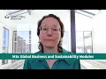 MSc Global Business and Sustainability Modules at Queen Mary University of London