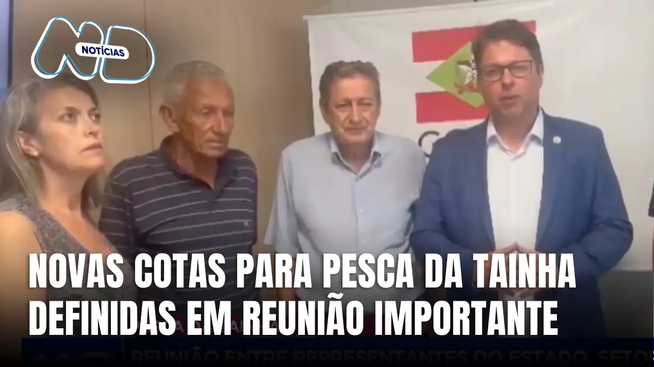 Cotas para pesca da tainha são definidas em nova reunião entre setor pesqueiro e governo