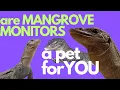 MANGROVE MONITOR CARE how to set up a Baby Mangrove monitor in 2023