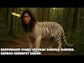 Download Lagu GEMPAR! MAKHLUK INI BERWAJAH MANUSIA TAPI BERTUBUH HARIMAU! DESA ITU DIHANTUI SAMPAI SEKARANG!