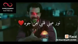 نور عيني قلبي من جوا   حالة وتساب رومانسية   مصطفي حجاج دندنها