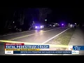Pedestrian hit killed by vehicle in Manatee County