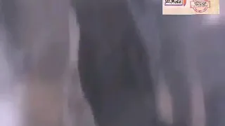 حصريات الزمن الجميل موسيقى الجيل فرقة جيليانا فطومة دندنها