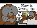 Download Lagu Your Life as an Orangutan