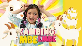 mazaya kambing mbe embe official music video 