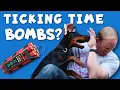 Why Do Dobermans Turn on Their Owners
