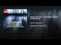 Piano Trio No. 1 in D Minor, Op. 63: IV. Mit Feuer - Leif Ove Andsnes