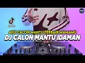 Download Lagu DJ AKU CALON MANTU TERBAIK MAMAMU - CALON MANTU IDAMAN REMIX FULL BASS VIRAL TIKTOK TERBARU 2025