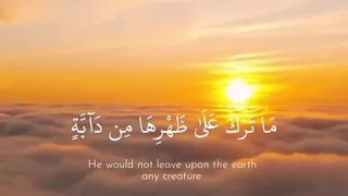 ستاتيات واتساب 2020 آية قرآنية الراحة النفسية Status Whatsapp 2020 