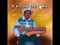 Tu Delirio