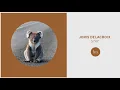 Joris Delacroix - Stay