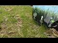 Scotts Kentucky 31 Grass Seed Mix - how this did after big storms came immediately through