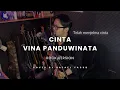 Lagu CINTA | VINA PANDUWINATA | BLUES ROCK COVER | FUNK | POP PUNK