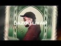 SHAW - DAZOU LIYAM (slowed&reverb)