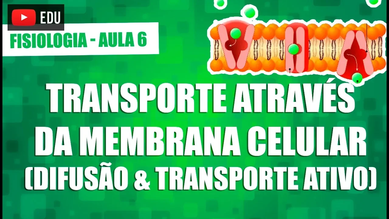 Transporte através da membrana: difusão simples, facilitada e transporte ativo - Fisiologia 06