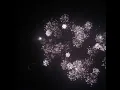 Download Lagu The Night Is Still Young by Nicki Minaj (TikTok Version Slowed)