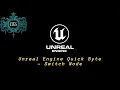 Unreal Engine 5 Quick Byte - Switch Node