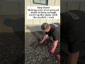 How to install a ground stake professionally for landscape lighting