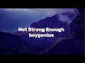 Lagu boygenius – Not Strong Enough (Lyric Video)