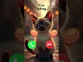 Download Lagu Tux calling🤙🏻✨#ringtone​ #calling​ #cat​​ #cutecat​ #viral​ #youtube​ #youtubeshorts #sad029