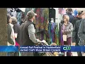 Annual Fall Festival Held In Haddonfield Saturday Afternoon