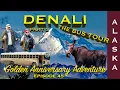 Ep 45 Exploring the Majestic Denali Tundra or Transit Tour Bus Adventure - Which one is best deal