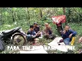 Download Lagu Aktifitas penanaman di hutan 20 Juni 2025