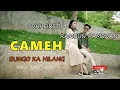 Download Lagu Lagu Minang Terbaru populer 2020 Cameh Bungo Ka Hilang Lirik - Rambun Pamenan ft Ovhi Firsty