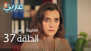 مصيبة رأسي الحلقة 37 Atv عربي Baş Belası 