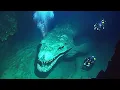 Download Lagu Disturbing  Mariana Trench Creatures That Science Can’t Explain