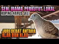 Download Lagu SENI IRAMA PERKUTUT LOKAL GACOR SUARA KLAR ATAU KLAU ? PERKUTUT UNIK