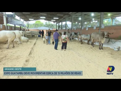 Expo Guatambu: 3ª edição da feira agropecuária deve movimentar cerca de R$ 15 milhões