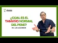 Cual es el tamano normal del pene Dr Luis Susanibar