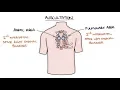 Download Lagu Heart Murmurs and Heart Sounds: Visual Explanation for Students