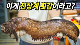 "씹을수록 설탕 맛이 나는" 역대급으로 맛있는 회를 경험했습니다.