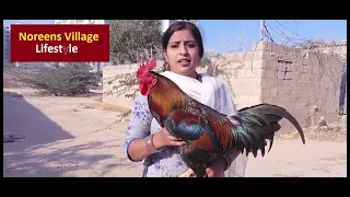 meri murghiyan gum ho gayin village family vlog noreen 