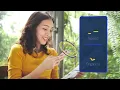 Visa Spend Clarity for Business