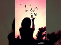 郑秀文Sammi Cheng-《舍不得你》