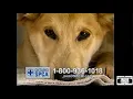 Ontario SPCA Commercial - 2006