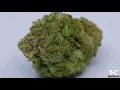 Cotton Candy Kush Visual