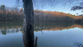 Rockdale Rd Trail Prettyboy Reservoir
