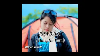 ndek ne tetu risa d u a ichan musical cover by suare sasak 