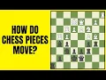 How Do Chess Pieces Move