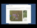 How to content when creating Seneca assignments