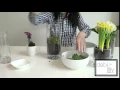 Potted Plants for Spring