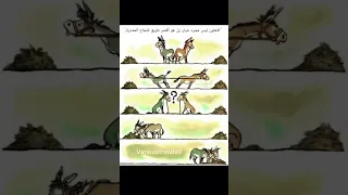 لا تنسى الاشتراك لتبصر طريقك بنور العلم والإيمان دندنها