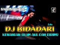 Download Lagu DJ ! BIDADARI