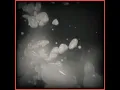Acid Jazz - Herr Krank