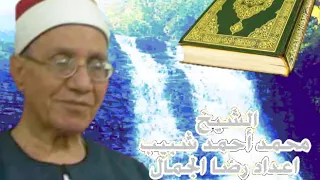 الشيخ محمد أحمد شبيب آخر القلم و أول الحاقة 